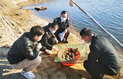 连年有 鱼 山东莱州石鲽鱼今年首次出口韩国 图